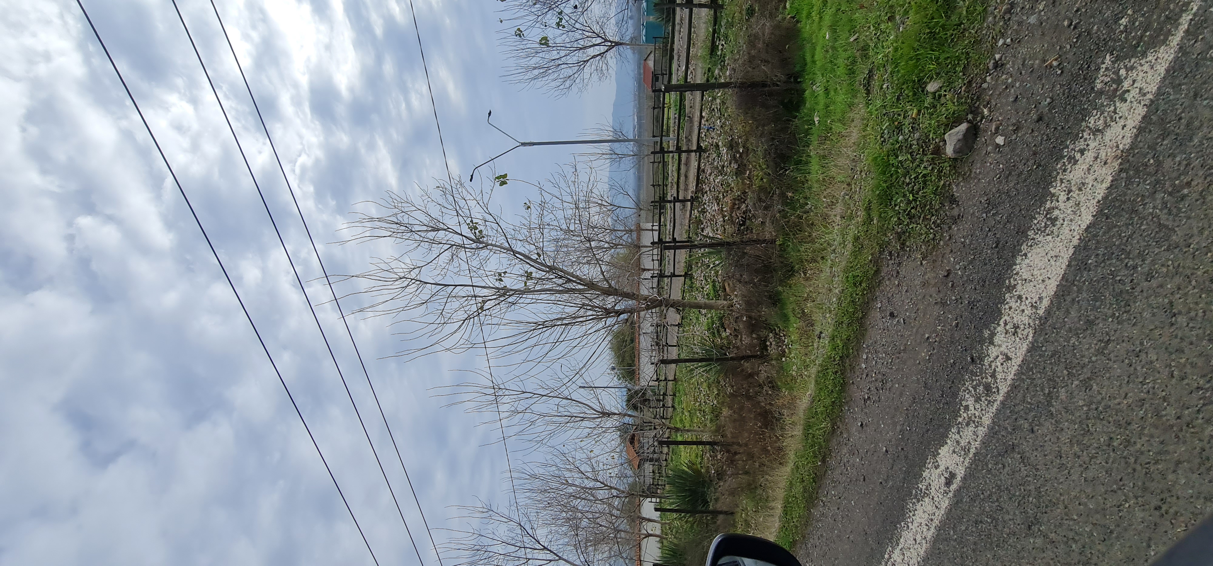 Teno Norte